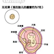 胎儿偏小3周怎么办,胎儿偏小三周会不会有什么问题
