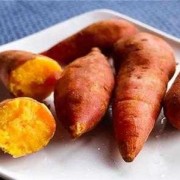 怀孕可以吃番薯吗，哪些食物应该多吃,孕期吃红薯好吗会胖吗