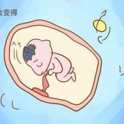 当羊发生胎儿浸溶或胎儿干尸化时怎么办,浸软胎儿图片