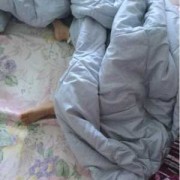 孕妇被窝太热对胎儿（被子盖太热会怎么样）