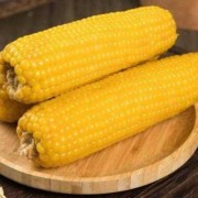 玉米会导致胎儿偏大吗（吃玉米会导致胎儿偏大吗）
