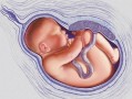 胎儿有时候踢很痛，是怎么回事,九个月胎儿踢得特别疼正常吗