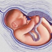 胎儿有时候踢很痛，是怎么回事,九个月胎儿踢得特别疼正常吗