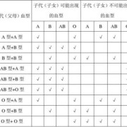 怎样知道胎儿的血型（孩子出生有血型记录吗）