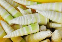 孕期能吃竹笋吗（孕期能吃竹笋吗?）