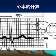 孕期心电图（孕妇心率多少算正常）