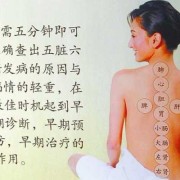 女性在备孕期间可以做拔罐和精油推背吗,备孕期间可以拔火罐吗女性