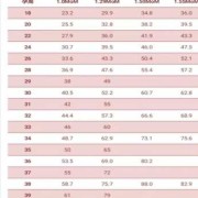 胎儿ri值是什么意思,胎儿脐血流
