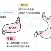 胎儿顶胃的感觉（胎儿顶胃的感觉）
