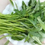 孕期能吃空心菜吗（听说怀孕初期是不能吃空心菜的是吗）