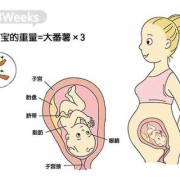 28周的宝宝在肚子哪个位置,28周胎儿位置低怎么办