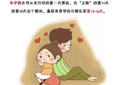 易孕期同房（易孕期同房会怀孕吗）