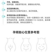 家用胎心监护仪对胎儿有影响吗（家用胎心监护仪对胎儿有影响吗 知乎）