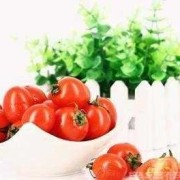 孕期西红柿（孕妇能吃黄瓜西红柿吗?因为黄瓜西红柿我是喜欢生吃的）