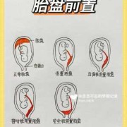 胎儿什么时候长胎盘（多久周开始长胎盘）
