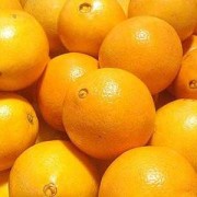 孕妇吃橙子对胎儿好吗（孕妇吃橙子胎儿会有黄疸吗）