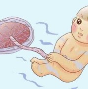 38周胎儿肺部成熟了吗（38周胎儿肺部成熟了吗）