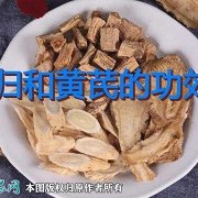 孕期能吃当归吗（孕妇可以喝当归，黄芪吗）