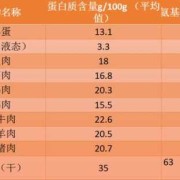 尿蛋白孕期（尿蛋白孕期高,饮食需要注意什么）