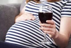 备孕期能喝啤酒，白酒吗,备孕期间可以吃薏米吗女性