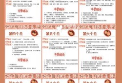 孕期办事（孕期办事）
