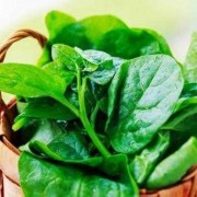 孕期可以吃木耳菜吗（孕期可以吃木耳菜吗早期）