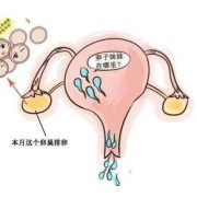 孕期卵巢排卵吗（孕期卵巢排卵吗会怀孕吗）
