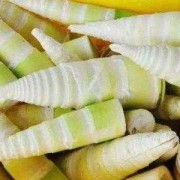 孕期可以吃竹笋吗（孕妇可以吃竹笋干吗）