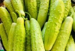 孕期能吃黄瓜吗（黄瓜的尾巴能吃吗？有啥好处）