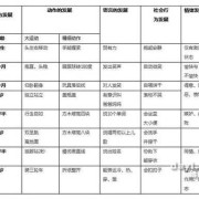 胎儿的智力（三岁半智力发育标准）
