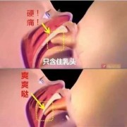 孕期乳头小（乳头短，宝宝吃奶含不住怎么办）