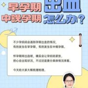 孕期两周（怀孕两周出血怎么办）