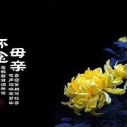 用胎组词,怎样让堕胎儿再来投胎呢