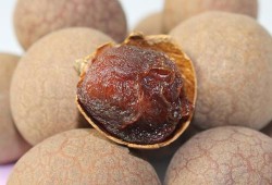 孕期能吃桂圆干吗（哺乳期能吃桂圆干吗）