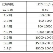 胎儿10周发育情况图（孕9周和孕10周的血hcg都是10万，胎儿正常吗）