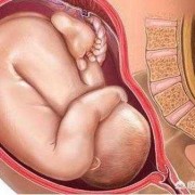 孕38周出生的孩子多吗？这个周期出生的宝宝护理要注意什么,胎儿38周图片