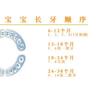 胎儿就长牙（婴儿何时长牙）