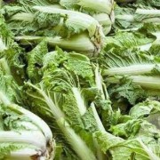 孕期梦见白菜（孕期梦见白菜什么意思）