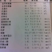 孕期尿酸高（孕期尿酸高）