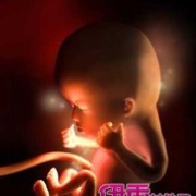 孕十一周胎儿稳定了吗（孕十一周胎儿稳定了吗 不会流产了吧）