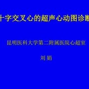 胎儿心脏十字交叉消失（胎儿心脏十字交叉消失是什么原因导致）