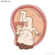 为什么胎儿喜欢鼓包，这是怎么回事呢,胎儿鼓包是在干什么
