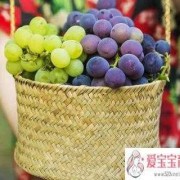孕期可以吃葡萄吗（孕妇可以吃葡萄吗?孕早期）