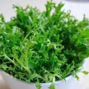 孕期可以吃苦菊吗（孕期可以吃苦菊吗?）