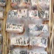 豆腐乳也称霉豆腐，霉是哪种霉菌?为什么可以吃呢,孕期可以吃霉豆腐吗?