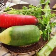 怀孕可以吃红萝卜吗,孕期可以吃青萝卜吗生的