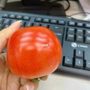 孕妇吃西红柿胎儿白吗（从冰箱拿出的西红柿为什么会变白）