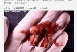 人的怀孕期（人的怀孕期是多少天才能生孩子）