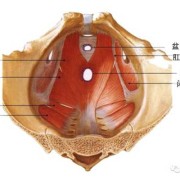 孕期阴道壁膨出（孕期阴道壁膨出）