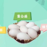孕期吃鹅蛋有什么好处（孕期吃鹅蛋有什么好处和坏处）